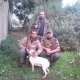 <h1 style="font-size: 12px">Caccia Grossa in Saregna: A Cinghiali nelle campagne di Esporlatu (SS) in Compagnia del Nostro Amicone Lino D..</h1>